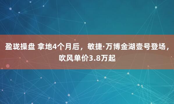 盈珑操盘 拿地4个月后，敏捷·万博金湖壹号登场，吹风单价3.8万起
