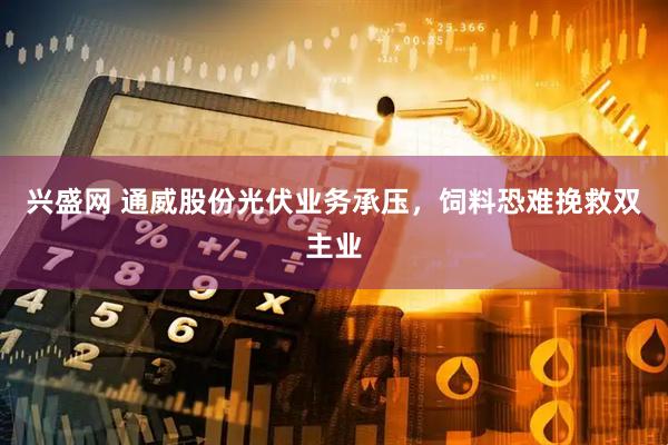 兴盛网 通威股份光伏业务承压，饲料恐难挽救双主业