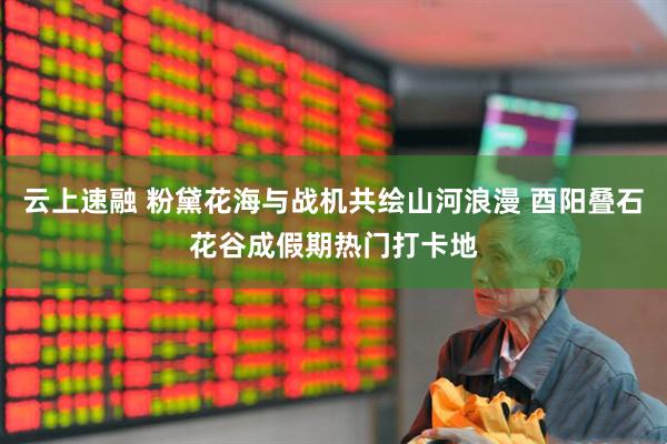 云上速融 粉黛花海与战机共绘山河浪漫 酉阳叠石花谷成假期热门打卡地