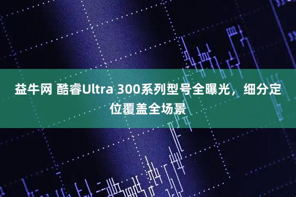 益牛网 酷睿Ultra 300系列型号全曝光，细分定位覆盖全场景